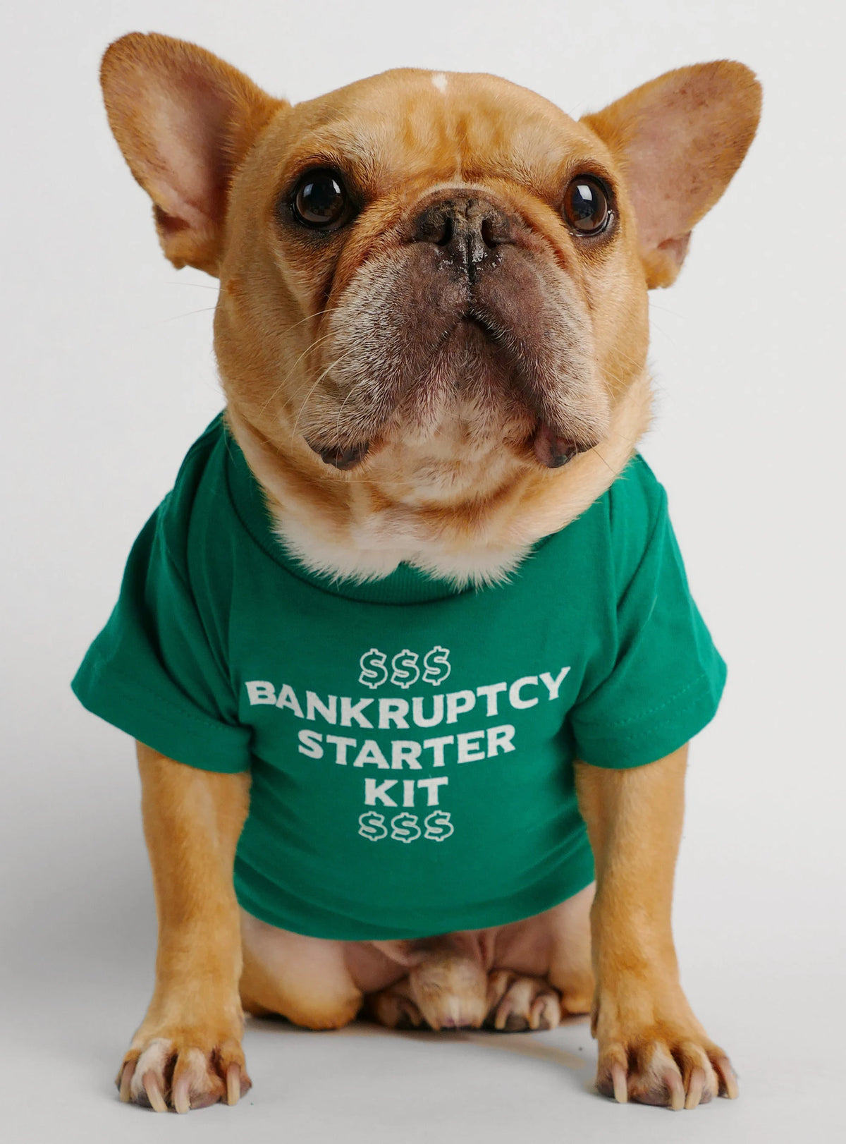 Bankruptcy