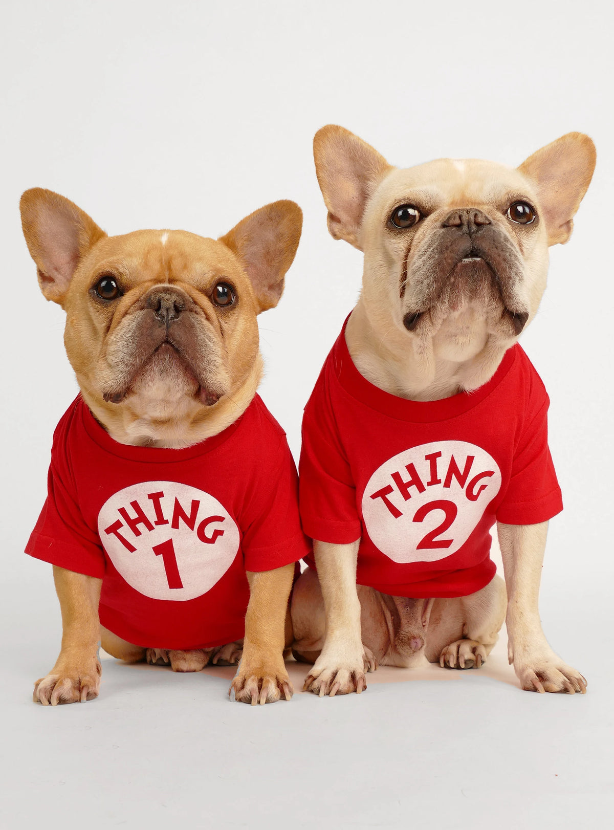 Thing 1 & Thing 2